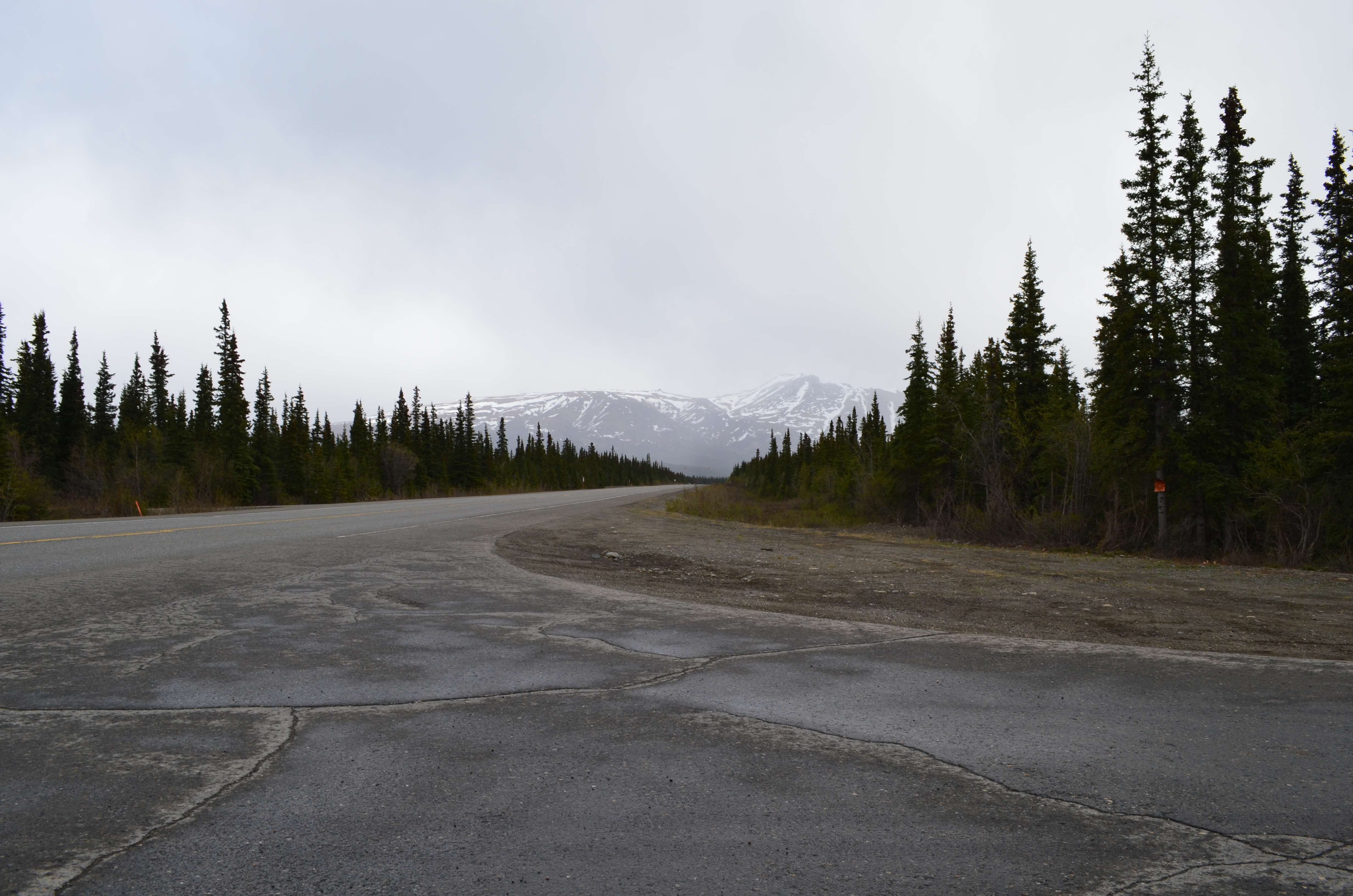 ./2017/08 - Alaska Cruise/03 - Denali/DSC_0124.JPG
